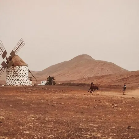 Casa Cocolores