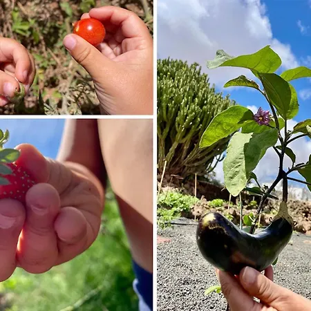 Πανσιόν Casa Cocolores Villaverde (Fuerteventura)