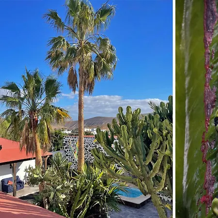 Casa Cocolores Villaverde (Fuerteventura)
