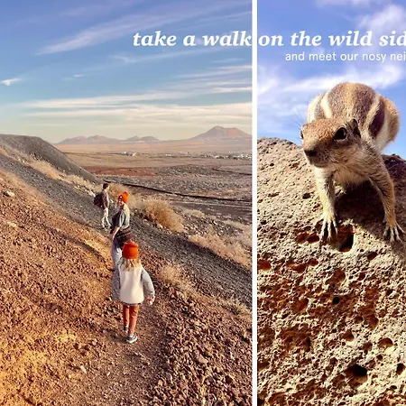 Casa Cocolores Pensionat Villaverde (Fuerteventura)