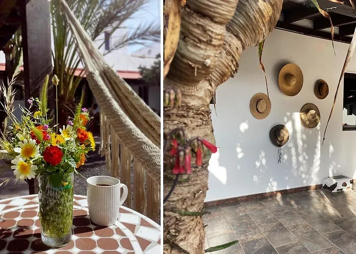 Guest house Casa Cocolores