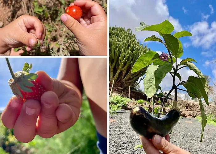 Guest house Casa Cocolores Villaverde (Fuerteventura)