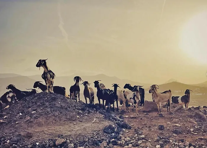 Casa Cocolores Villaverde (Fuerteventura)