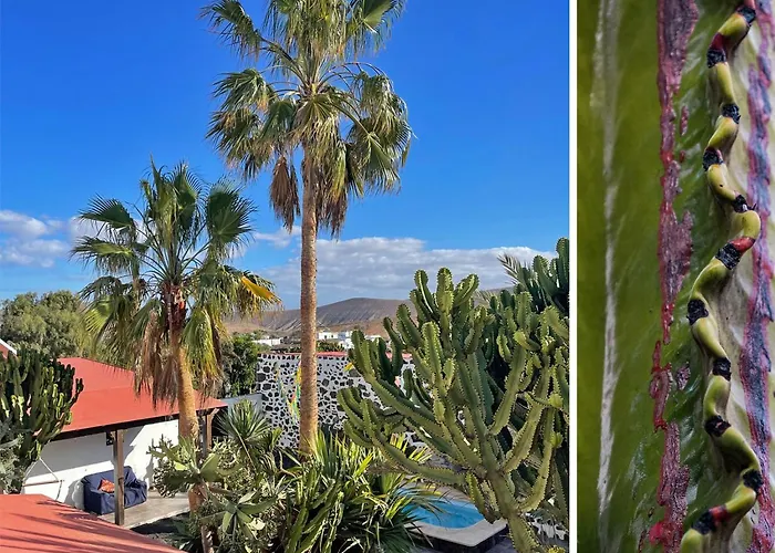 Casa Cocolores Villaverde (Fuerteventura)