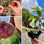 Pensjonat Casa Cocolores Villaverde (Fuerteventura)