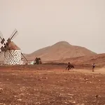 Casa Cocolores