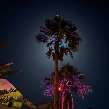 招待所 Casa Cocolores