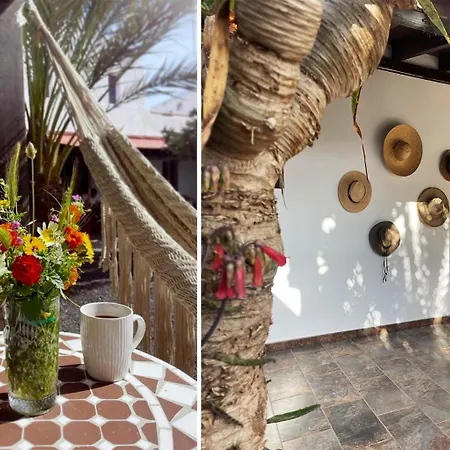 Guest house Casa Cocolores