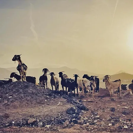 Casa Cocolores Villaverde (Fuerteventura)