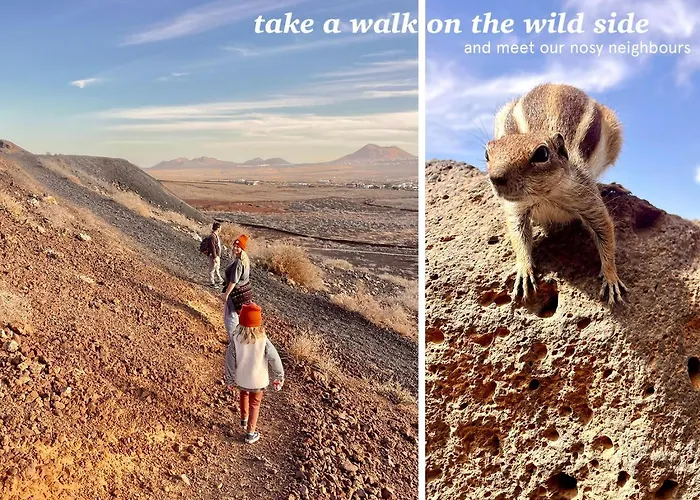 Casa Cocolores Πανσιόν Villaverde (Fuerteventura)
