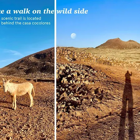 Casa Cocolores Villaverde (Fuerteventura)
